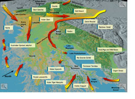 Invasive Species Portals and Pathways